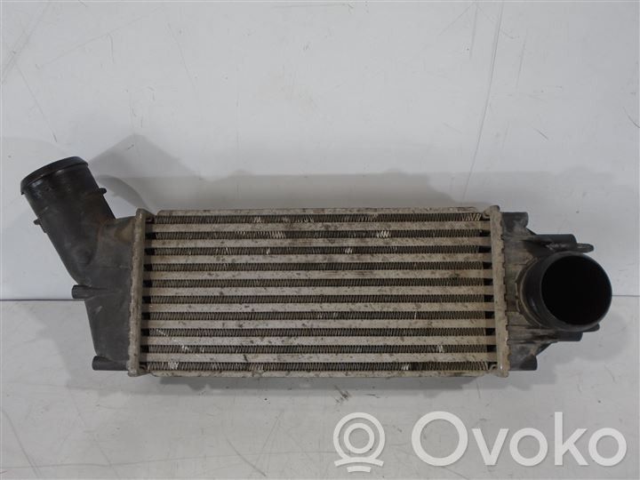 Peugeot 307 Radiator intercooler