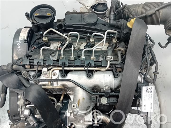 Volkswagen Tiguan Motor