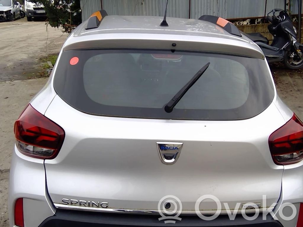 Tailgate/trunk/boot lid   901009472R