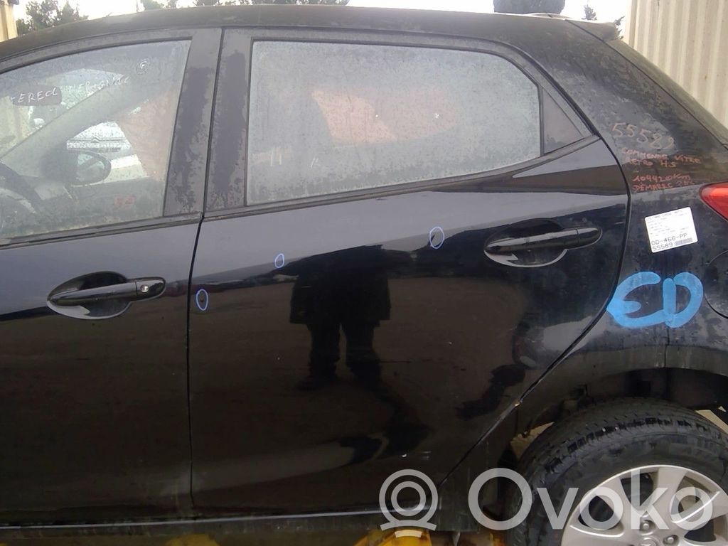 Galinės durys   DFY17302XJ