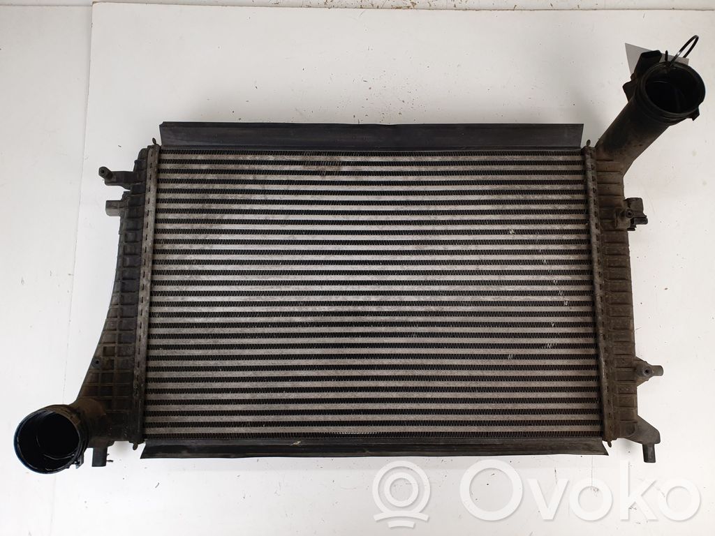 Volkswagen PASSAT B6 Interkūlerio radiatorius 