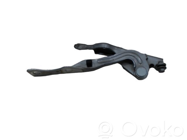 Engine bonnet/hood hinges   DD1052420F,DD1052420F