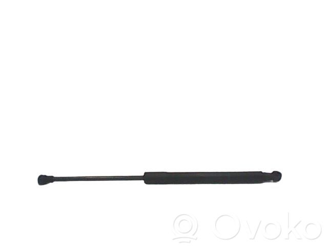 Renault Twingo II Tailgate/trunk strut/damper 