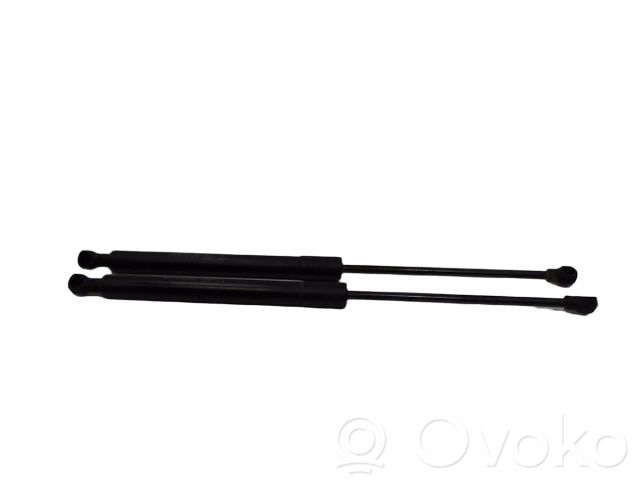 Peugeot 207 Rear window strut damper 