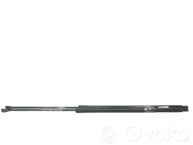 Renault Kangoo II Tailgate/trunk strut/damper 