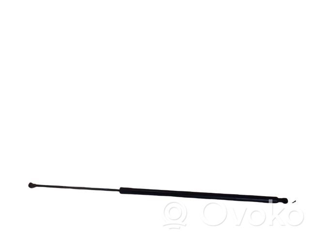 Renault Kangoo II Tailgate/trunk strut/damper 