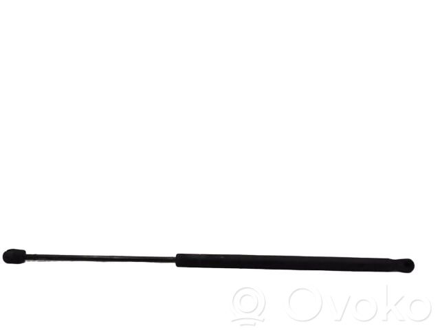 Ford Fusion Tailgate/trunk strut/damper 