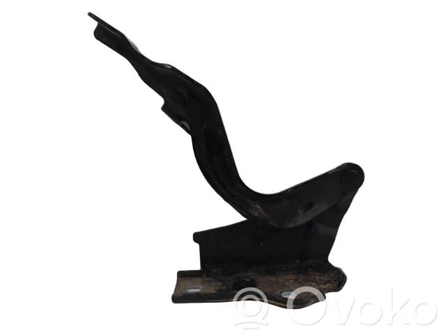 Hyundai Santa Fe Engine bonnet/hood hinges 