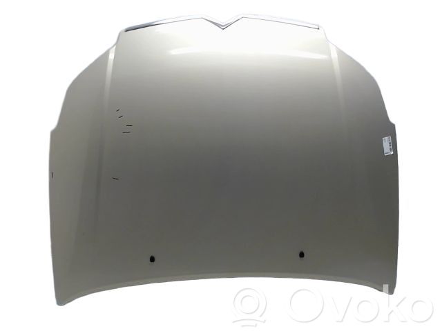 Citroen C5 Vano motore/cofano 