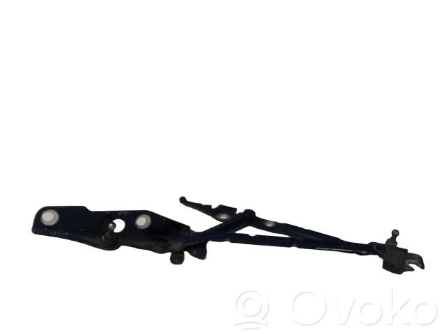 Tailgate/trunk/boot hinge   30634567,30634567