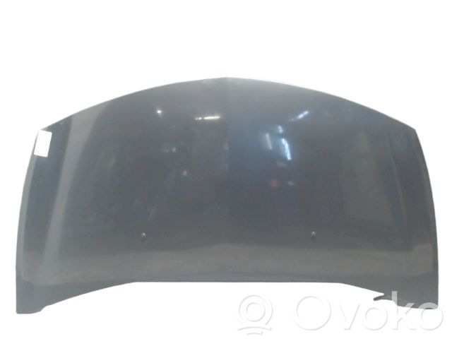 Renault Clio III Engine bonnet/hood 