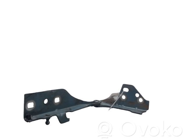 Jaguar X-Type Engine bonnet/hood hinges 