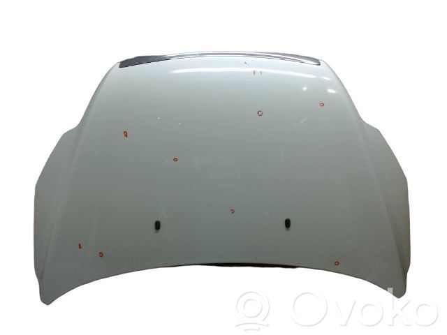 Ford Focus Konepelti 