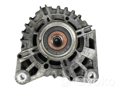 Generatorius   231008017R,231003831R,231008017R,TG12C094