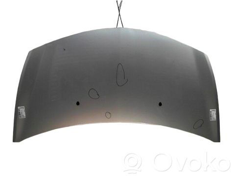 Renault Clio III Engine bonnet/hood 