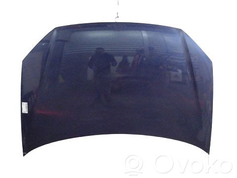 Volkswagen Polo IV 9N3 Dangtis variklio (kapotas) 