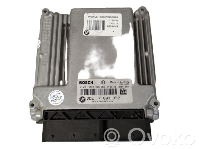 Engine control unit/module ECU   EDC16C35BMW,EDC16C35BMW