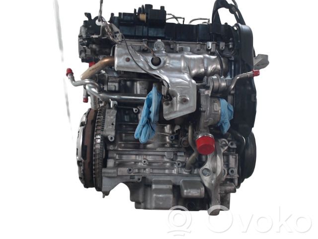 Variklis   36010067,36010067,D4204T8