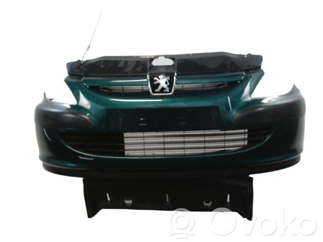 Peugeot 307 Paraurti anteriore 