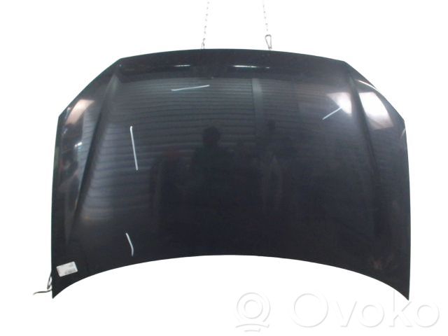 Volkswagen Polo IV 9N3 Dangtis variklio (kapotas) 