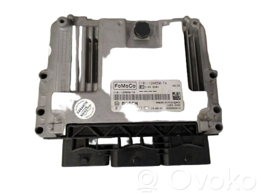 Ford Fiesta Centralina/modulo motore ECU
