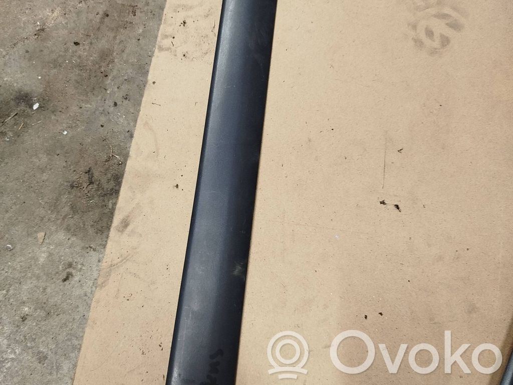 Ford Focus Rear door trim (molding) 