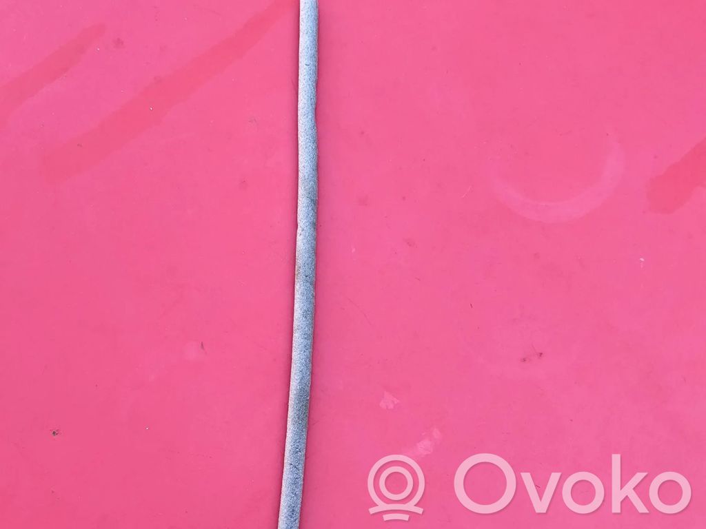 Trosīte   7036467