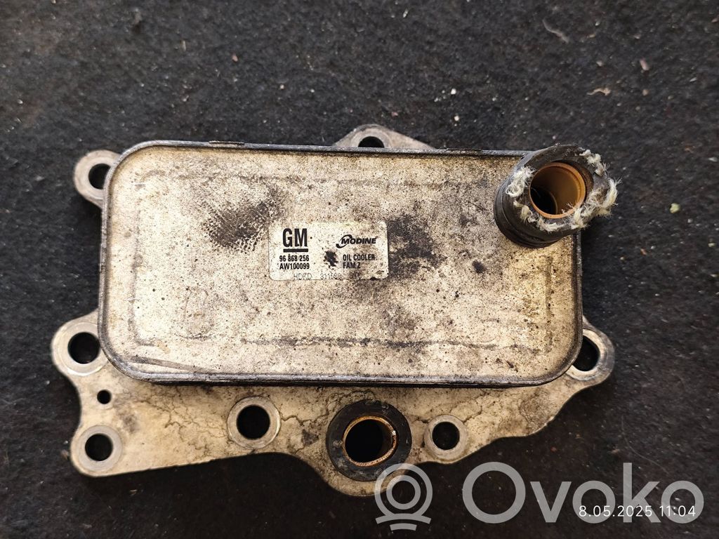 Opel Antara Engine oil radiator 
