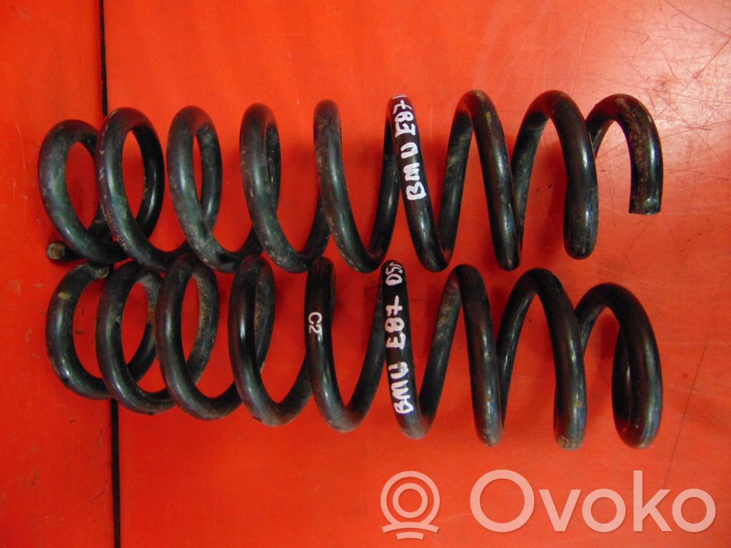 Rear coil spring