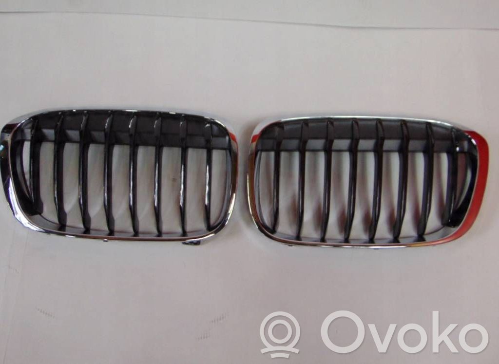 BMW X1 F48 F49 Front bumper upper radiator grill 