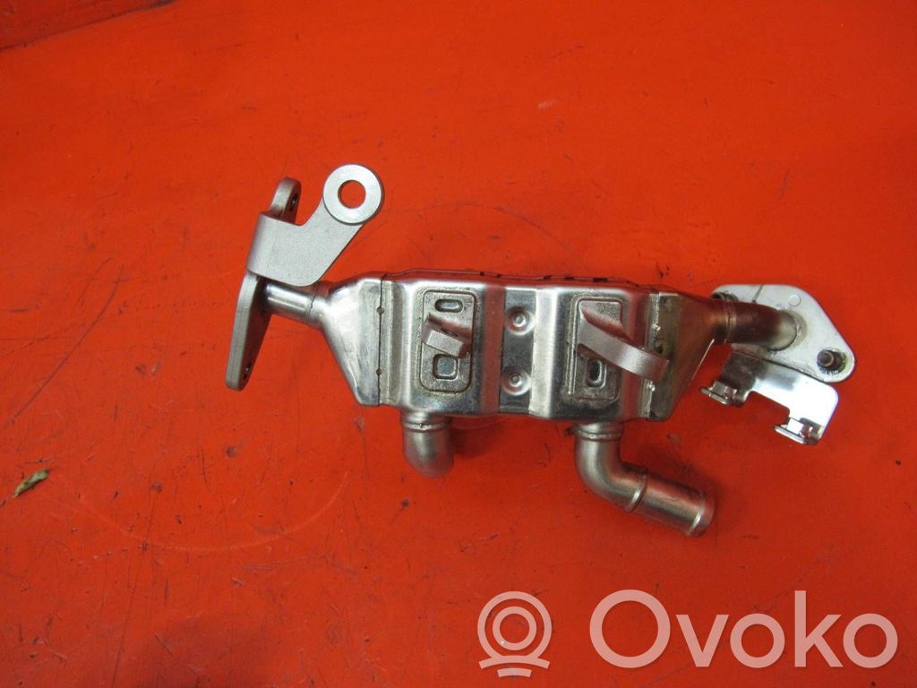 Renault Clio V Chłodnica spalin EGR 