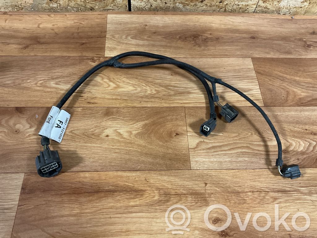 Ford Focus Otros cableados 