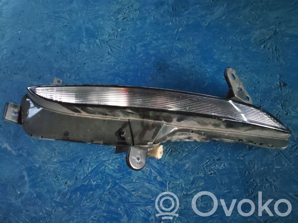 Front indicator light   261354958R