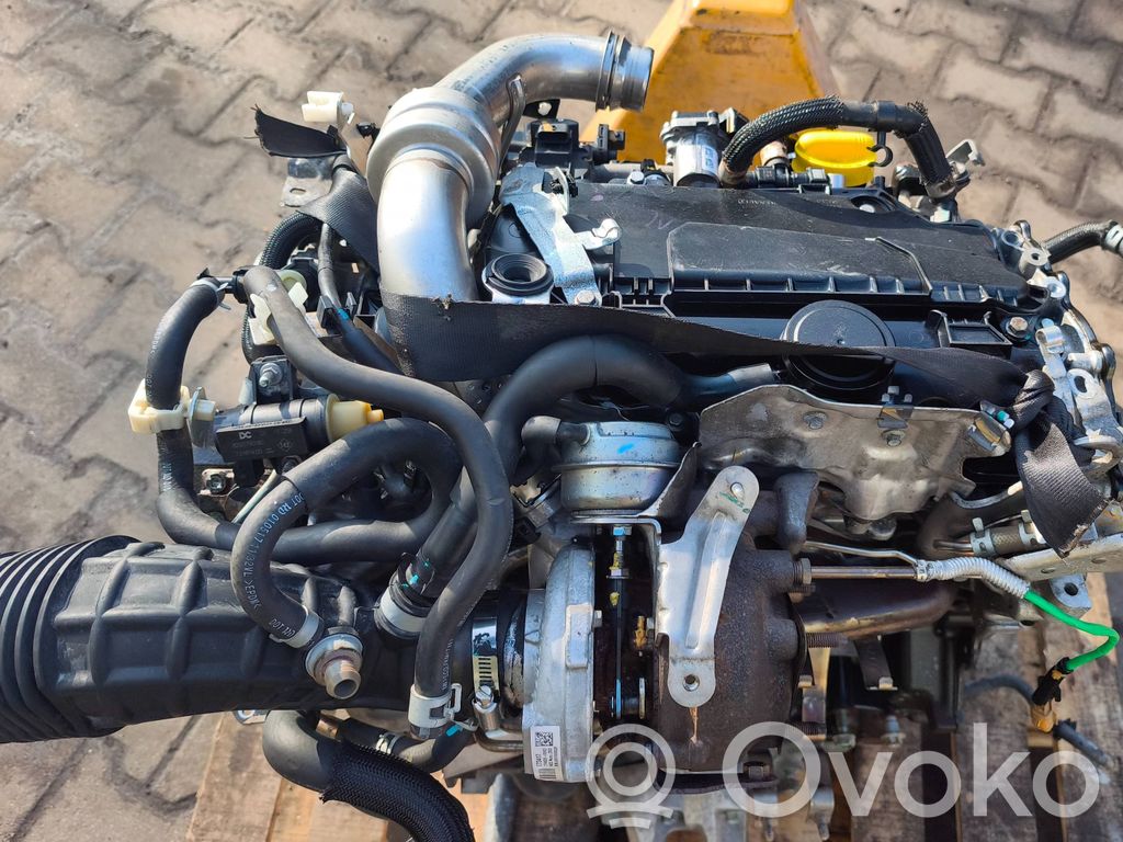 Engine   100019772R,19070085,C081331