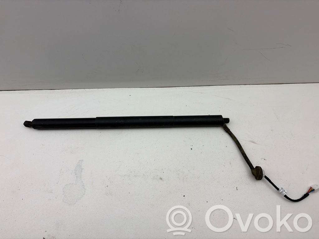Tesla Model Y Tailgate/trunk strut/damper 