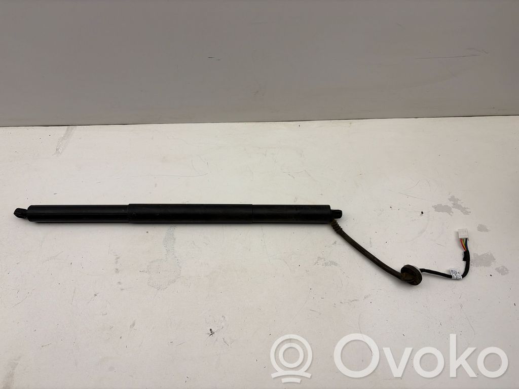 Tesla Model Y Tailgate/trunk strut/damper 