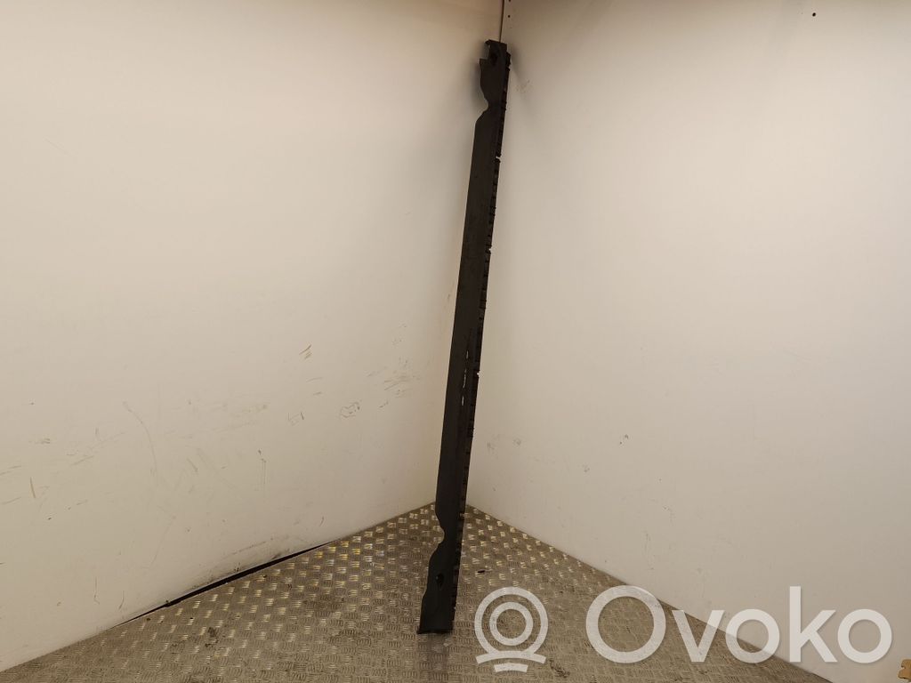 Tesla Model Y Slenkstis 