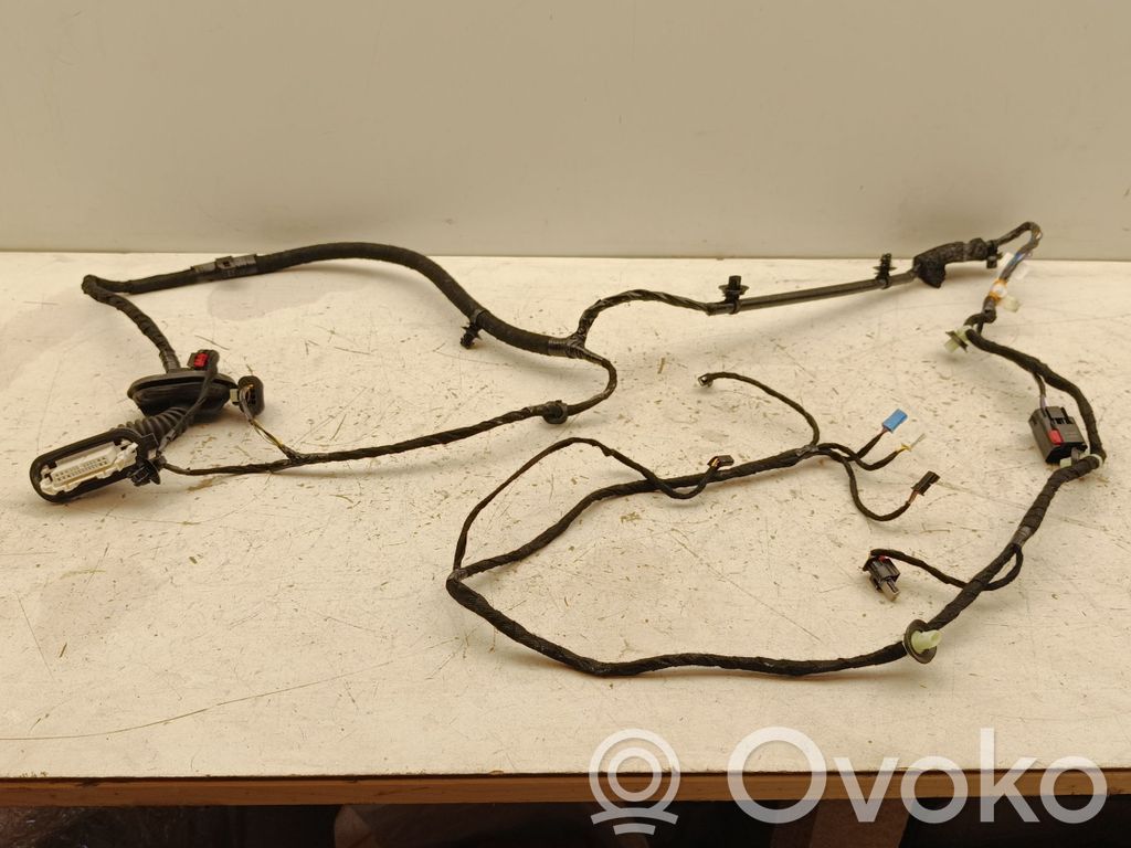 Cableado de puerta trasera   148905400E,HBT233554H