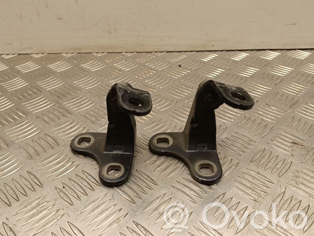 Tesla Model Y Front door hinge set 