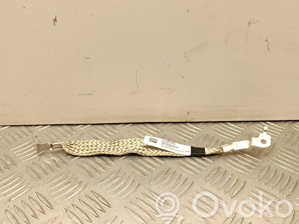 Tesla Model Y Negative earth cable (battery) 