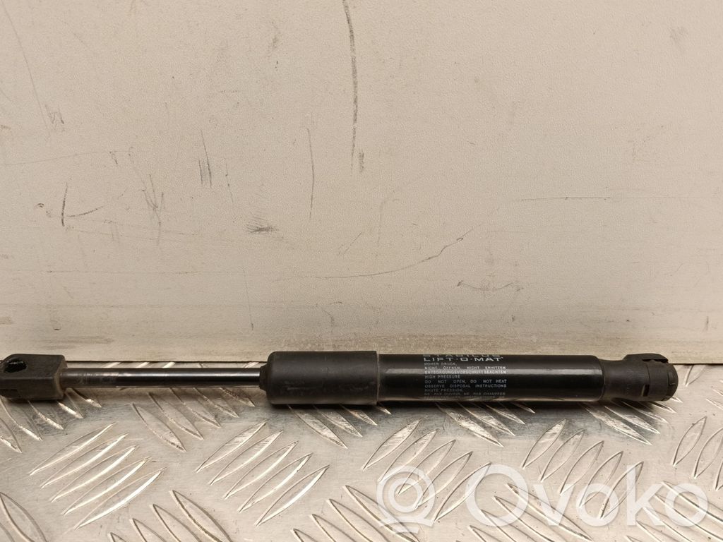 Tesla Model Y Gasdruckfeder Dämpfer Motorhaube 