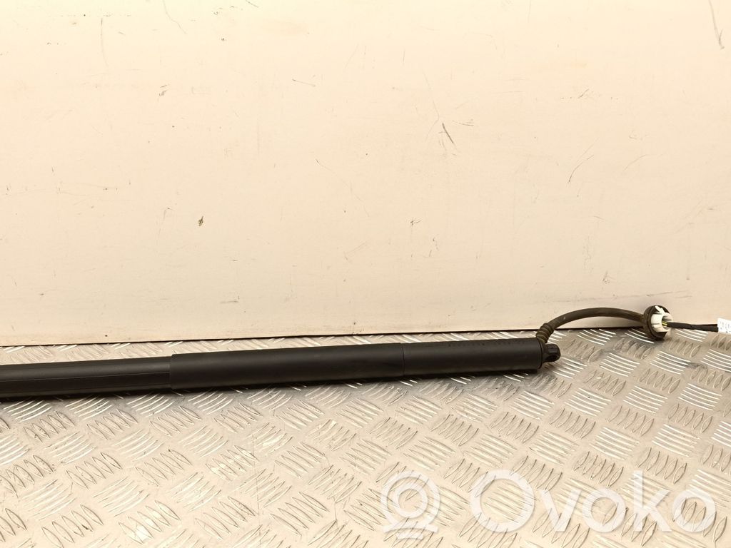 Tesla Model Y Tailgate/trunk strut/damper 