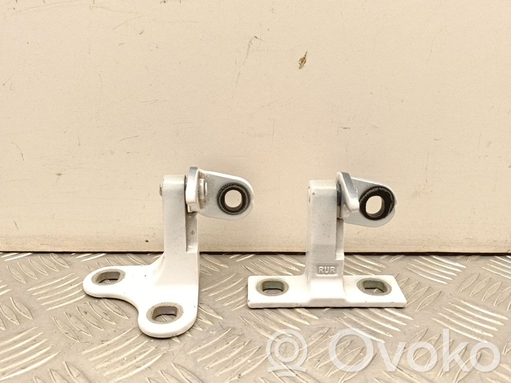 Tesla Model Y Rear door hinge set 