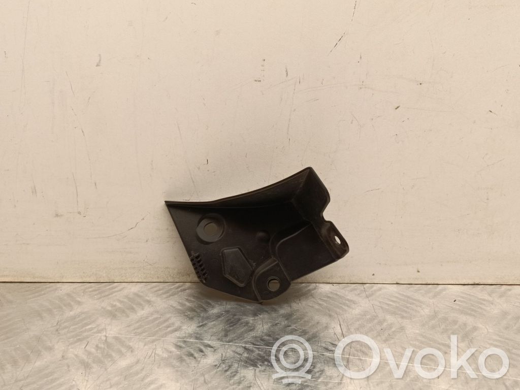Muu korin osa   31479538