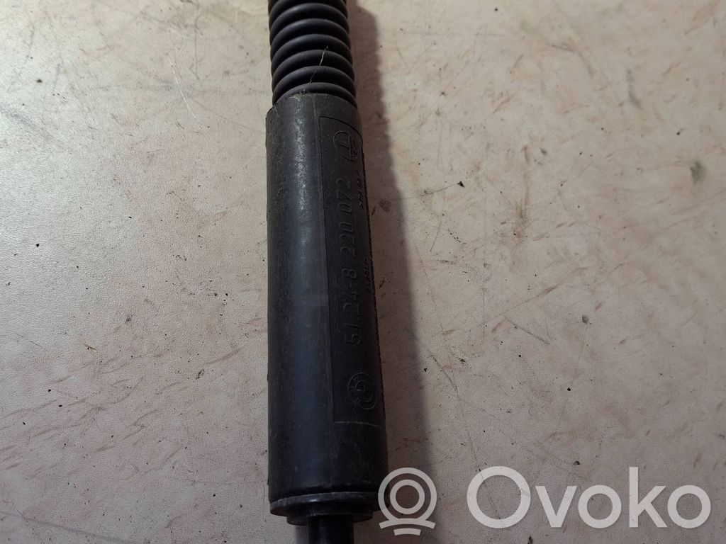 Tailgate/trunk strut/damper   8220072