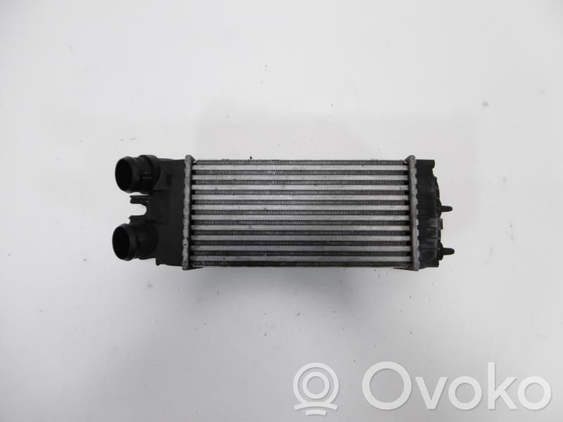 Citroen Xsara Picasso Intercooler radiator 