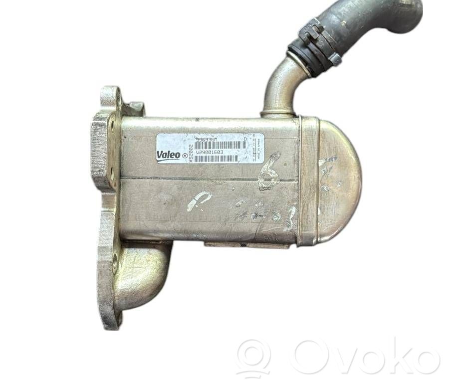 Renault Megane III EGR-venttiili/lauhdutin 