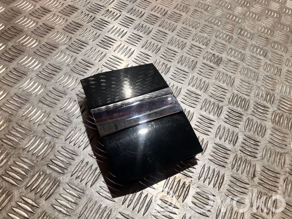 BMW X1 U11 Oberes Gitter vorne 