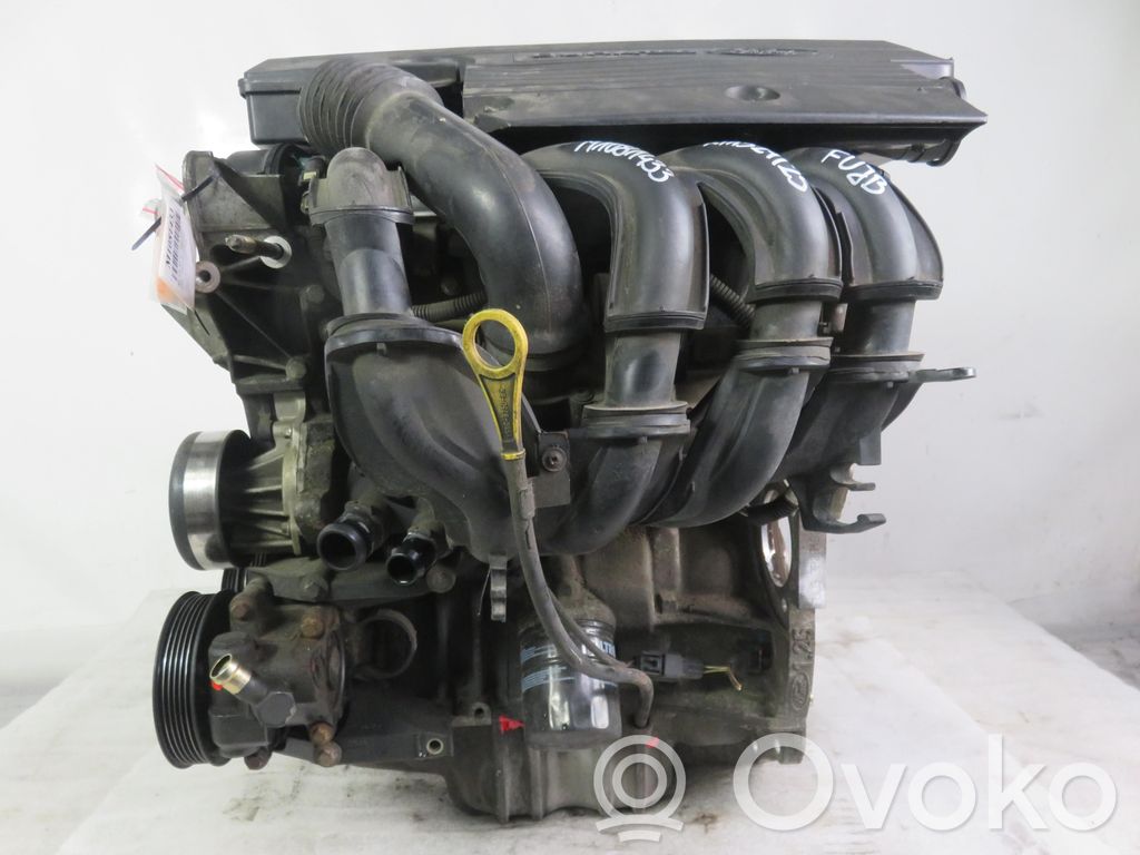 Ford Fiesta Variklis 