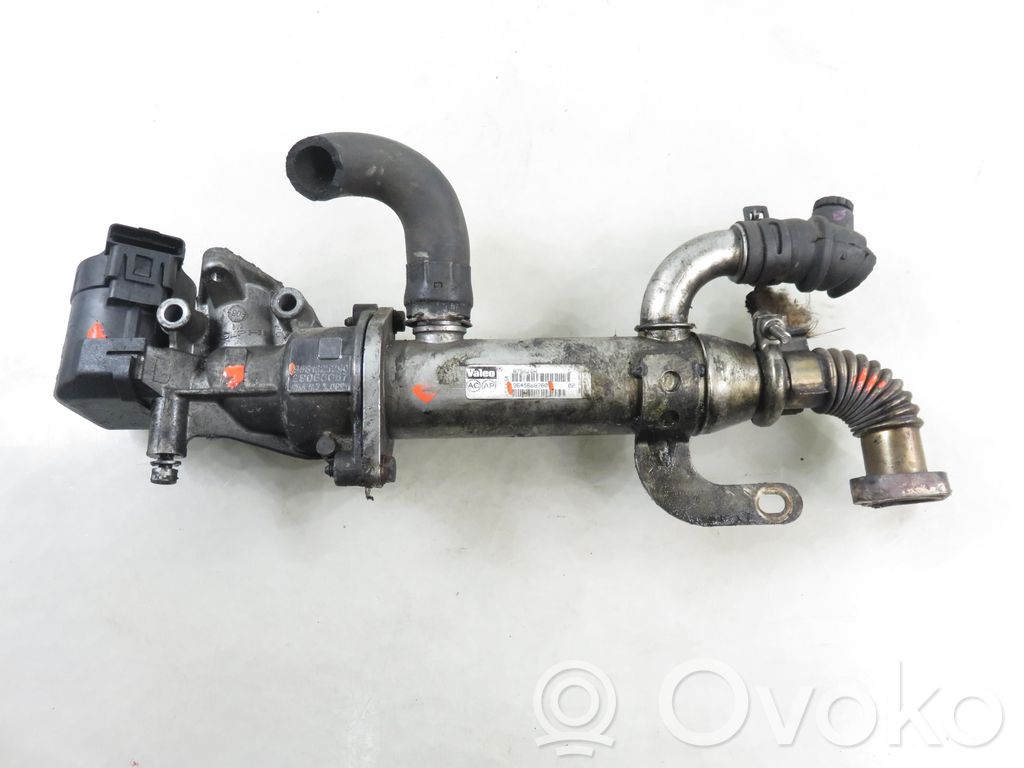 Peugeot 307 EGR valve 